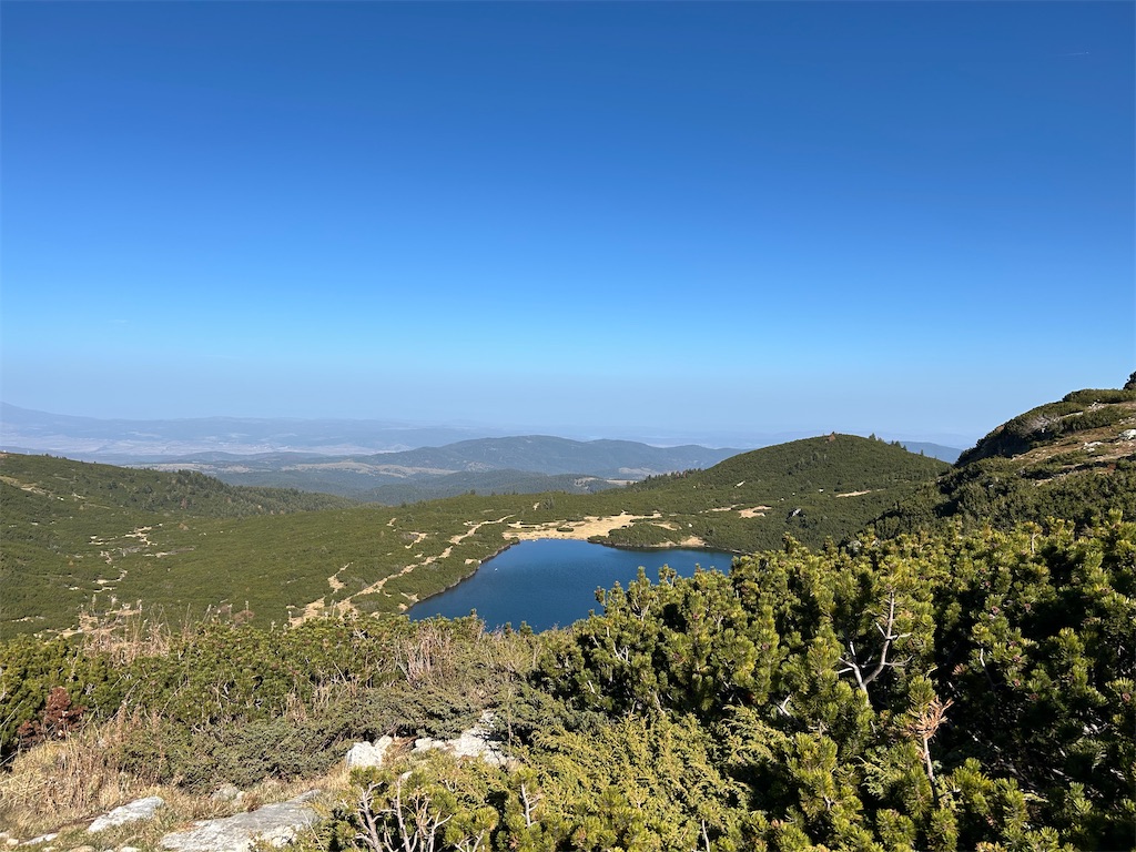 f:id:Applebee:20241030160600j:image