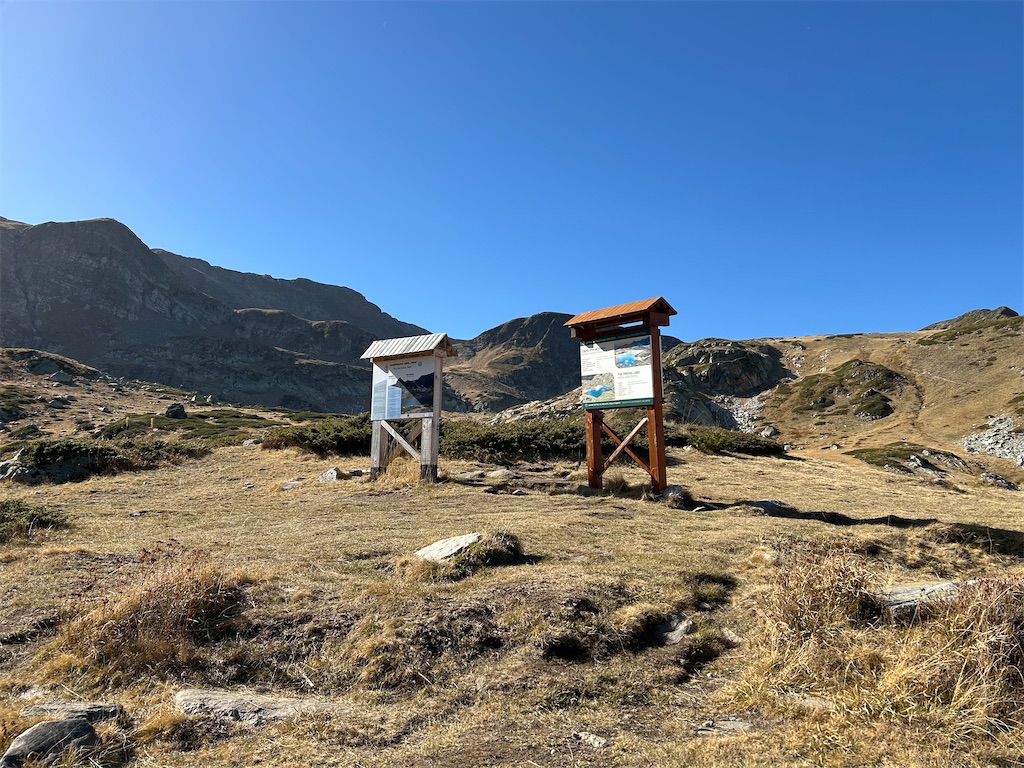 f:id:Applebee:20241030160605j:image