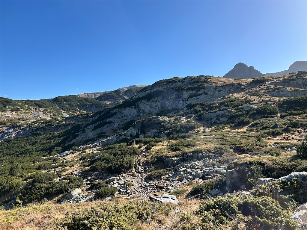 f:id:Applebee:20241030160617j:image