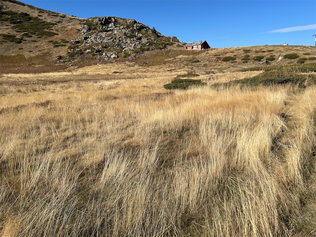 f:id:Applebee:20241030160628j:image