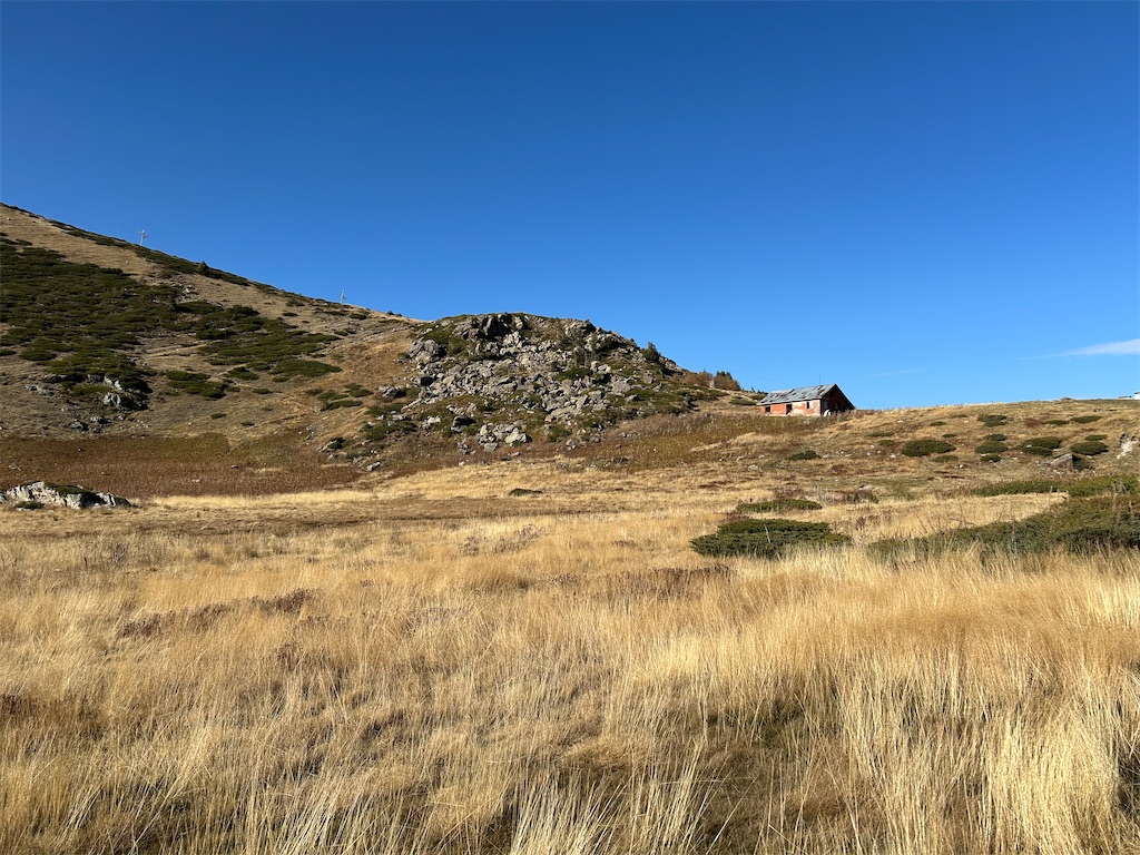 f:id:Applebee:20241030160632j:image