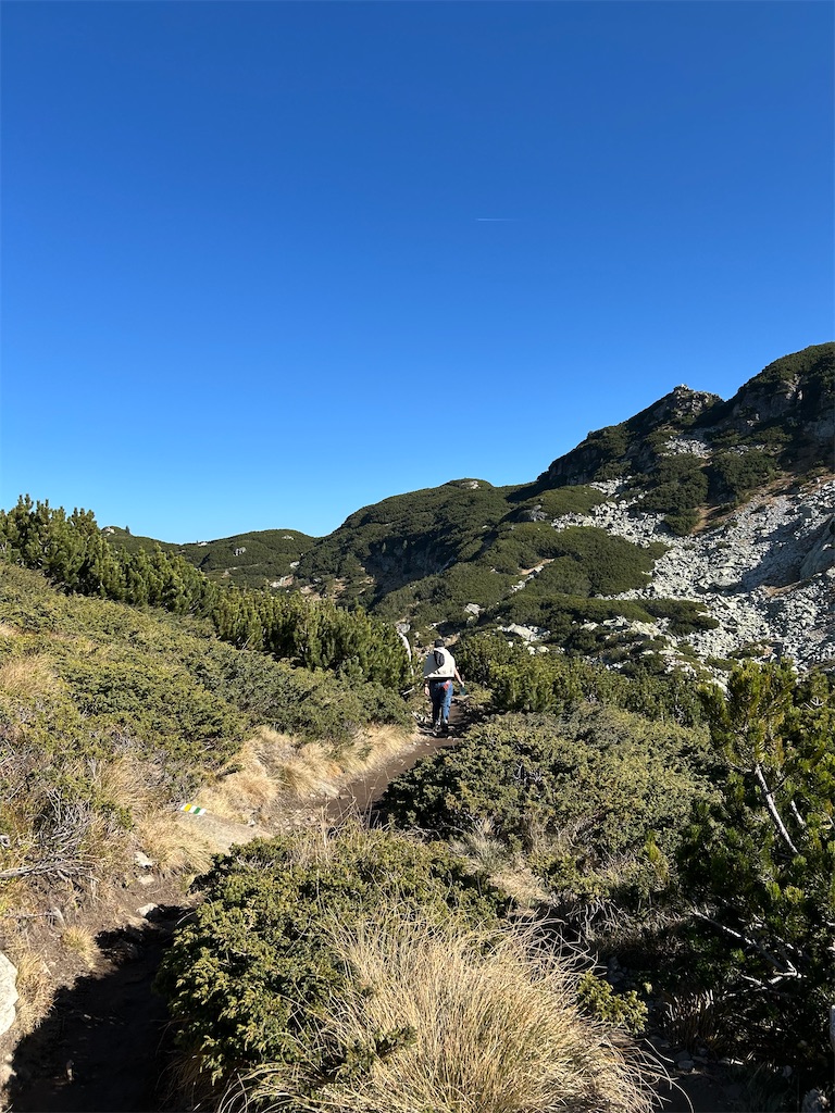 f:id:Applebee:20241030160642j:image