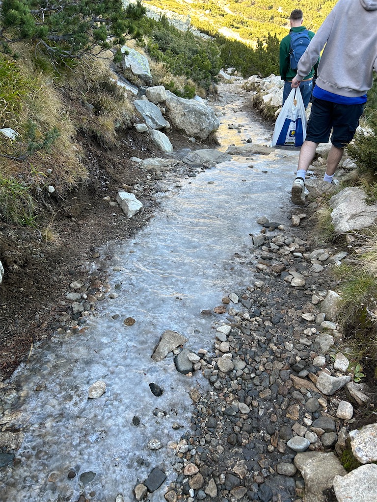 f:id:Applebee:20241030160649j:image