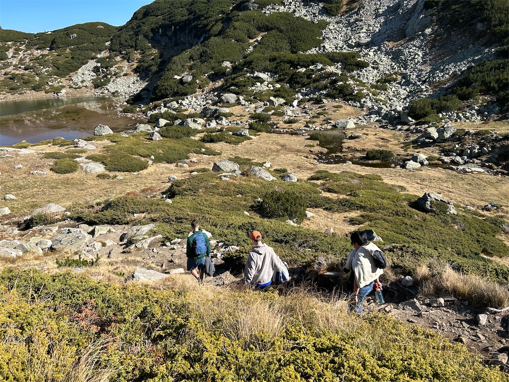 f:id:Applebee:20241030160655j:image