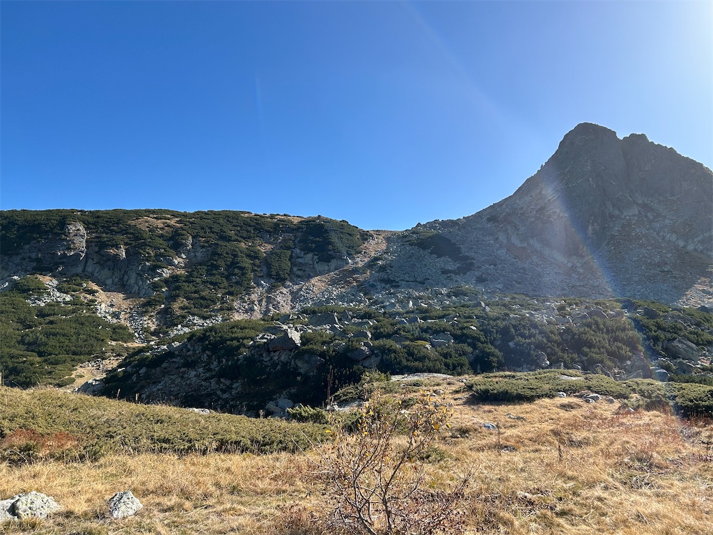 f:id:Applebee:20241030160659j:image