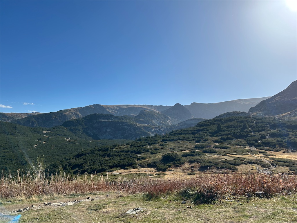 f:id:Applebee:20241030160720j:image