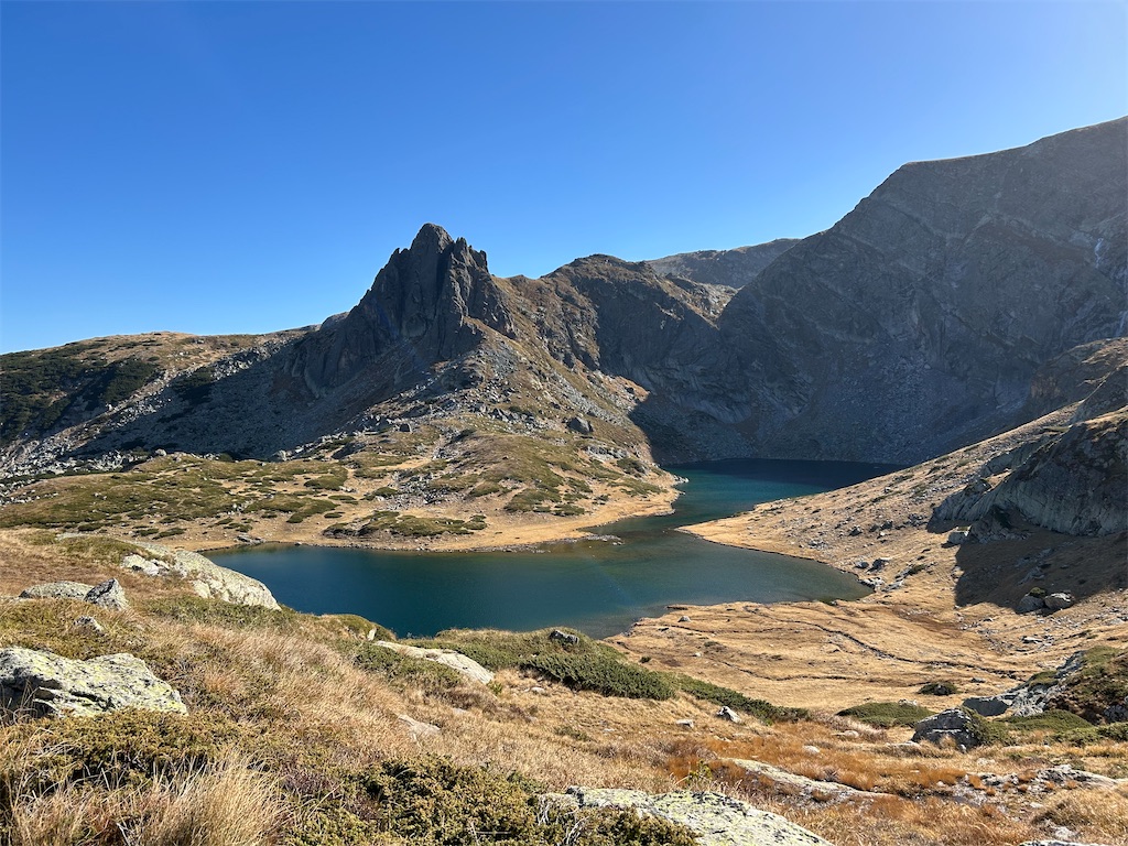 f:id:Applebee:20241030160725j:image