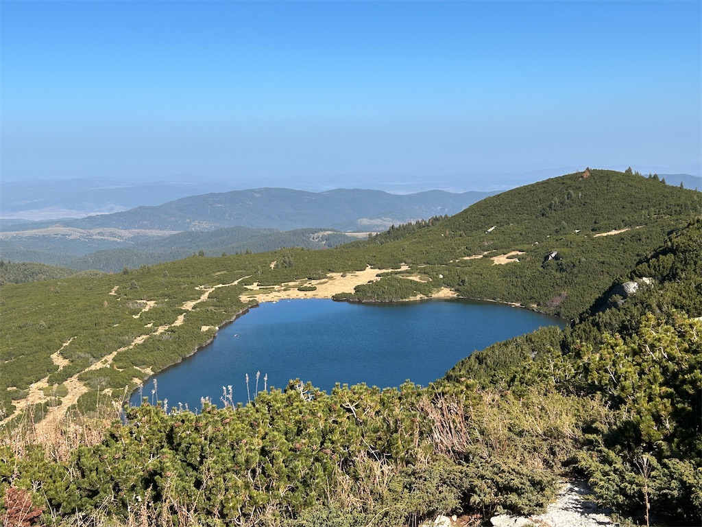 f:id:Applebee:20241030160731j:image