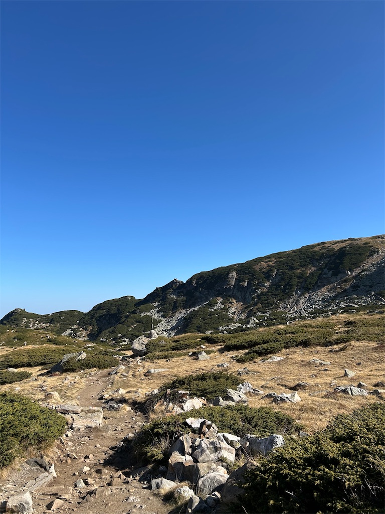 f:id:Applebee:20241030160736j:image