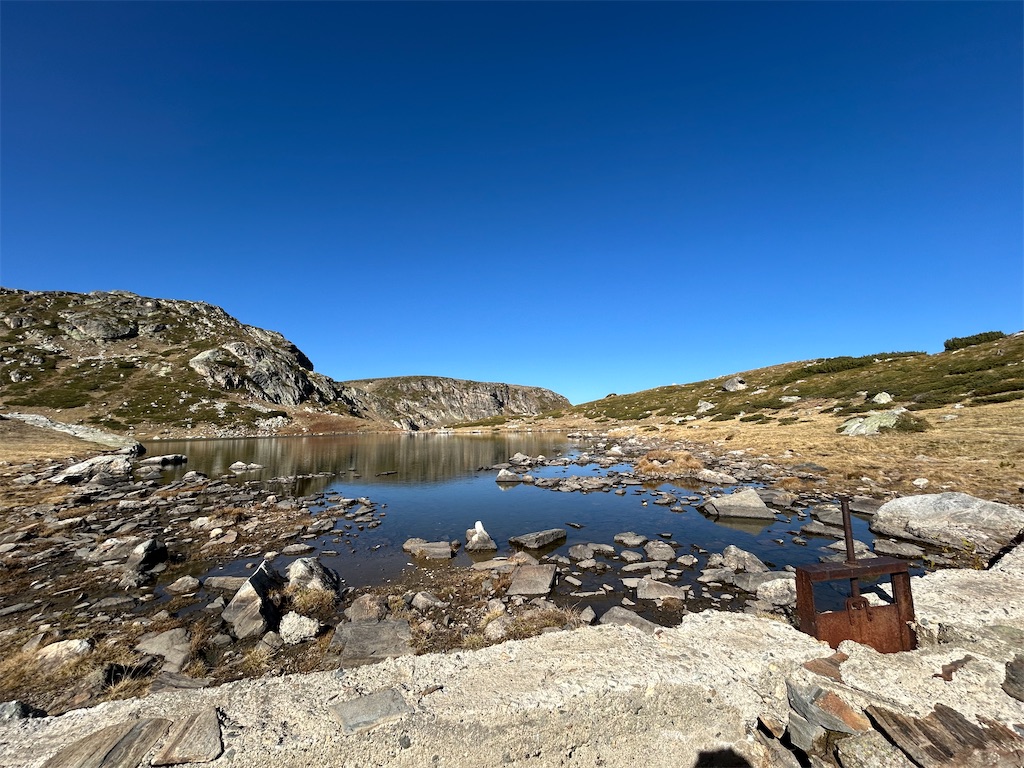 f:id:Applebee:20241030160741j:image