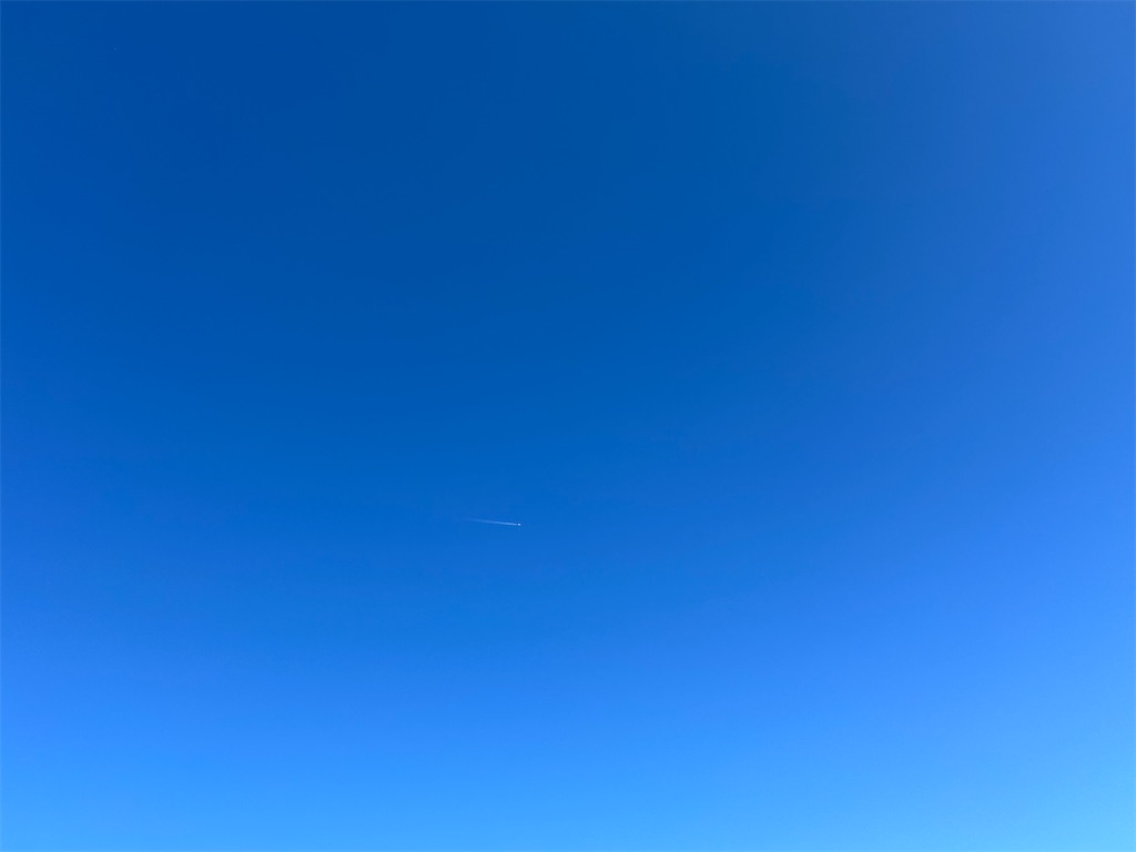 f:id:Applebee:20241030160745j:image