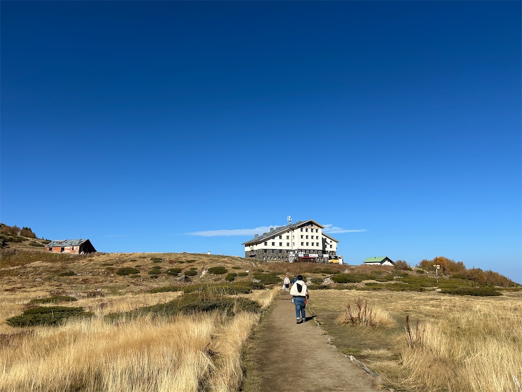 f:id:Applebee:20241030160749j:image