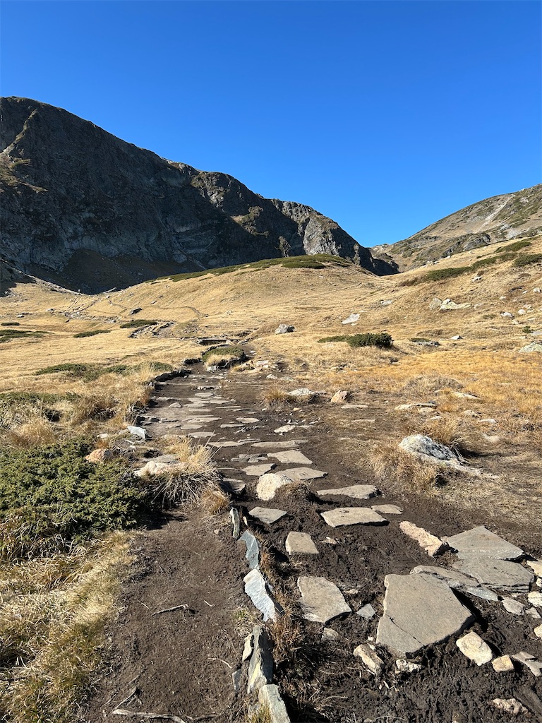 f:id:Applebee:20241030160755j:image