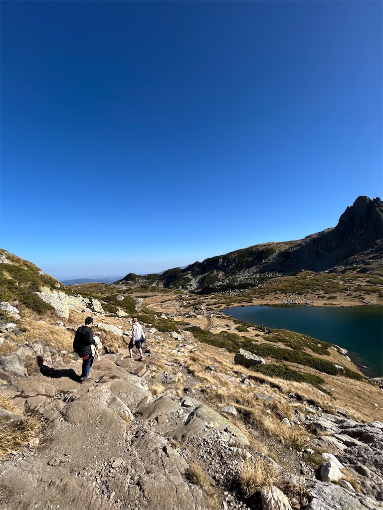 f:id:Applebee:20241030160819j:image