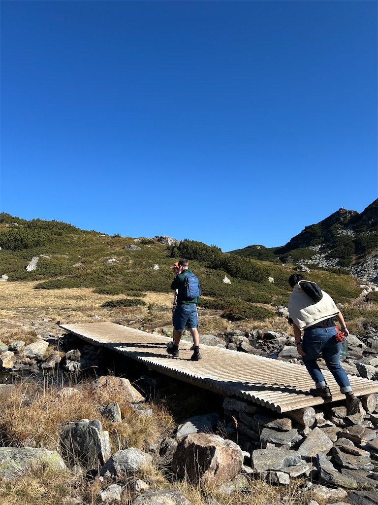 f:id:Applebee:20241030160835j:image