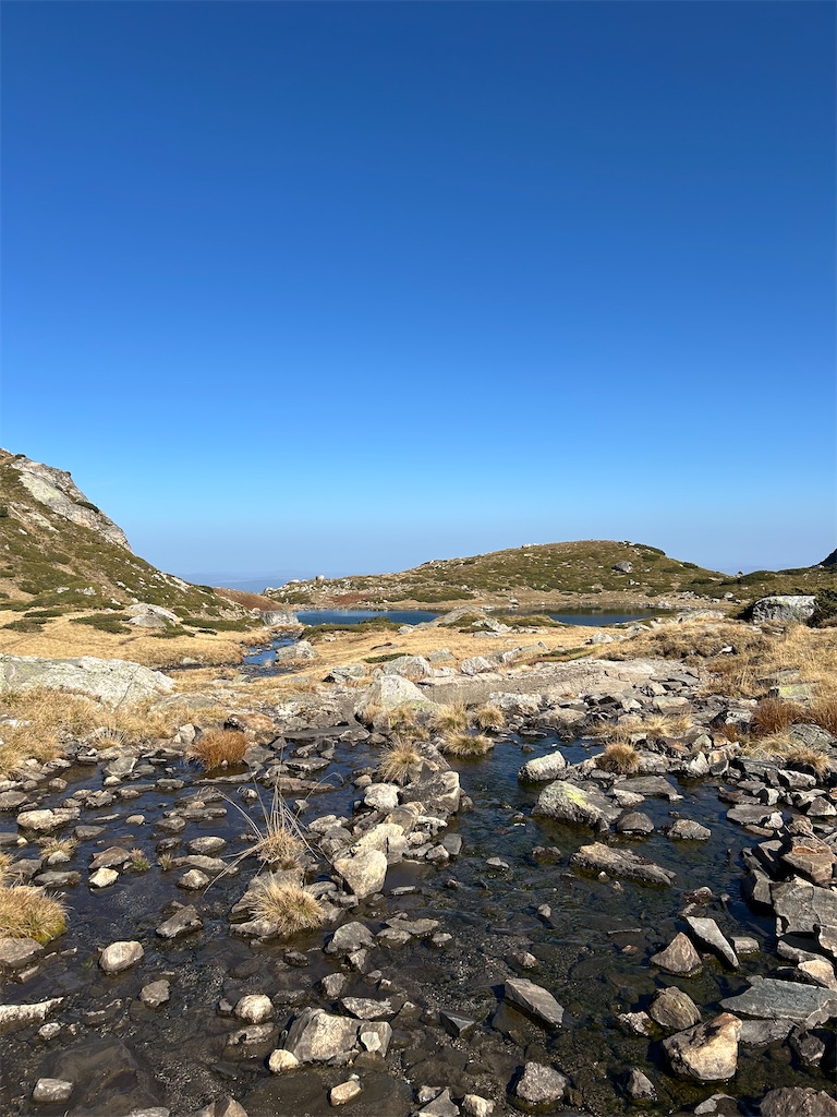 f:id:Applebee:20241030160840j:image