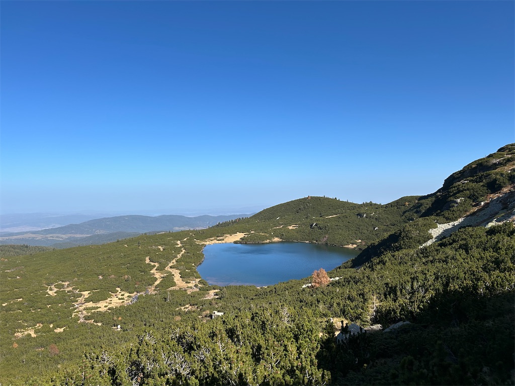 f:id:Applebee:20241030160845j:image