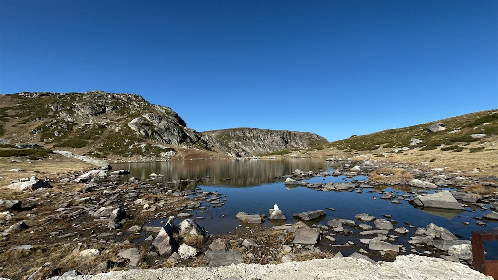 f:id:Applebee:20241030160850j:image