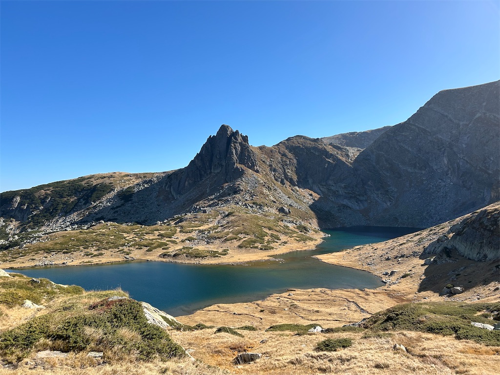 f:id:Applebee:20241030160856j:image