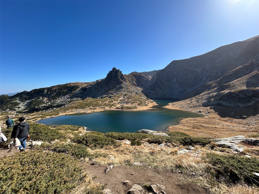 f:id:Applebee:20241030160906j:image