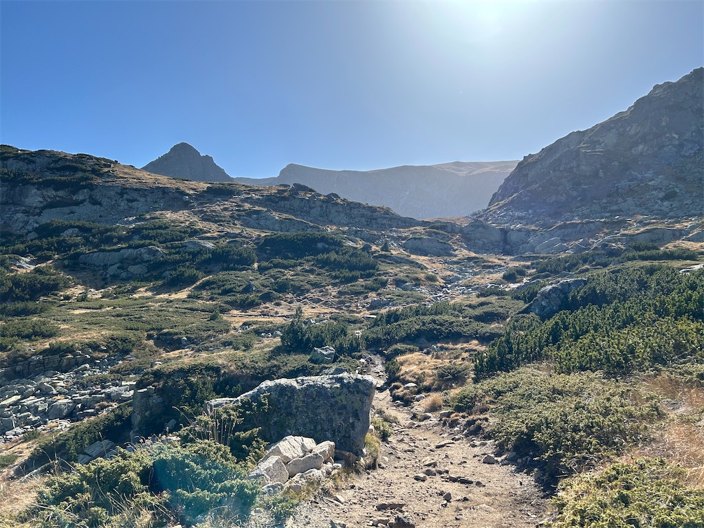 f:id:Applebee:20241030160912j:image