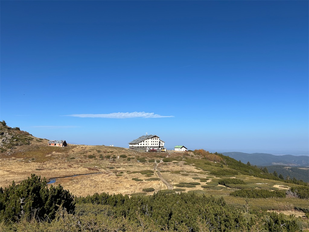 f:id:Applebee:20241030160933j:image