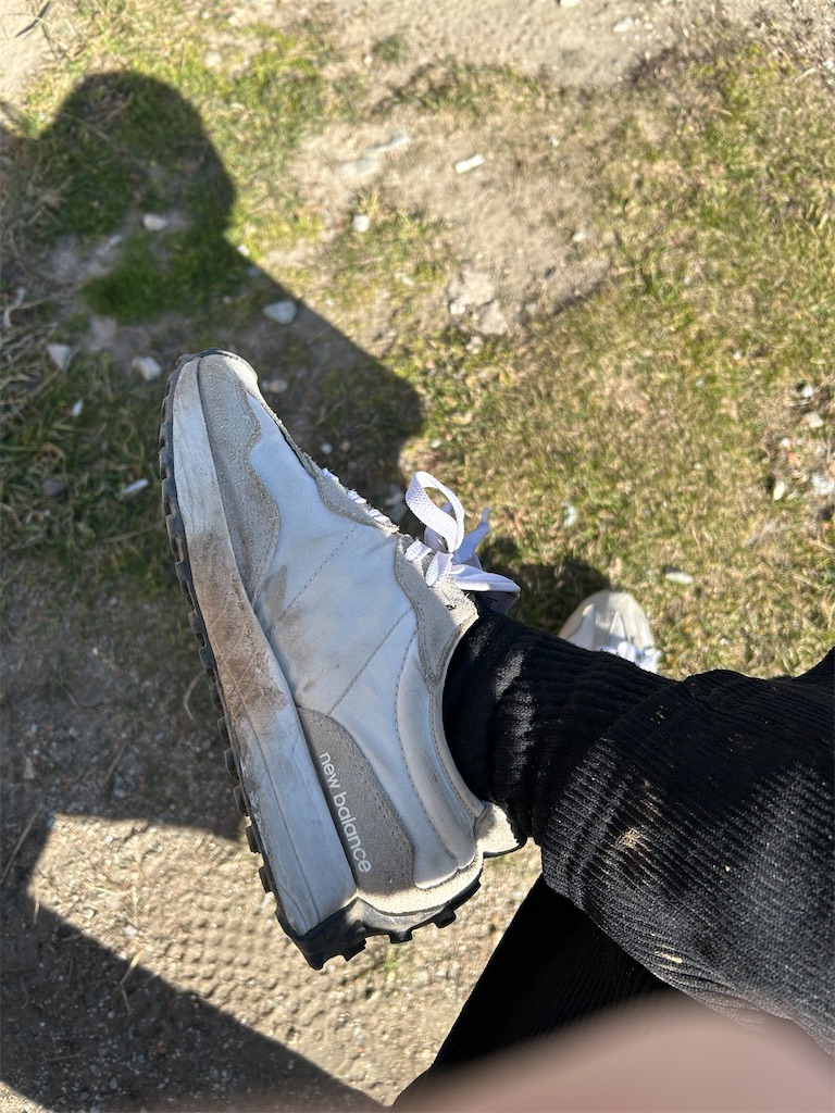 f:id:Applebee:20241101160649j:image