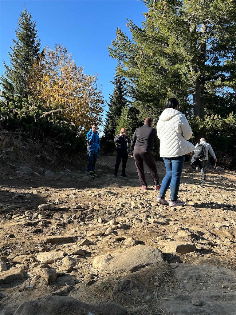 f:id:Applebee:20241101161157j:image