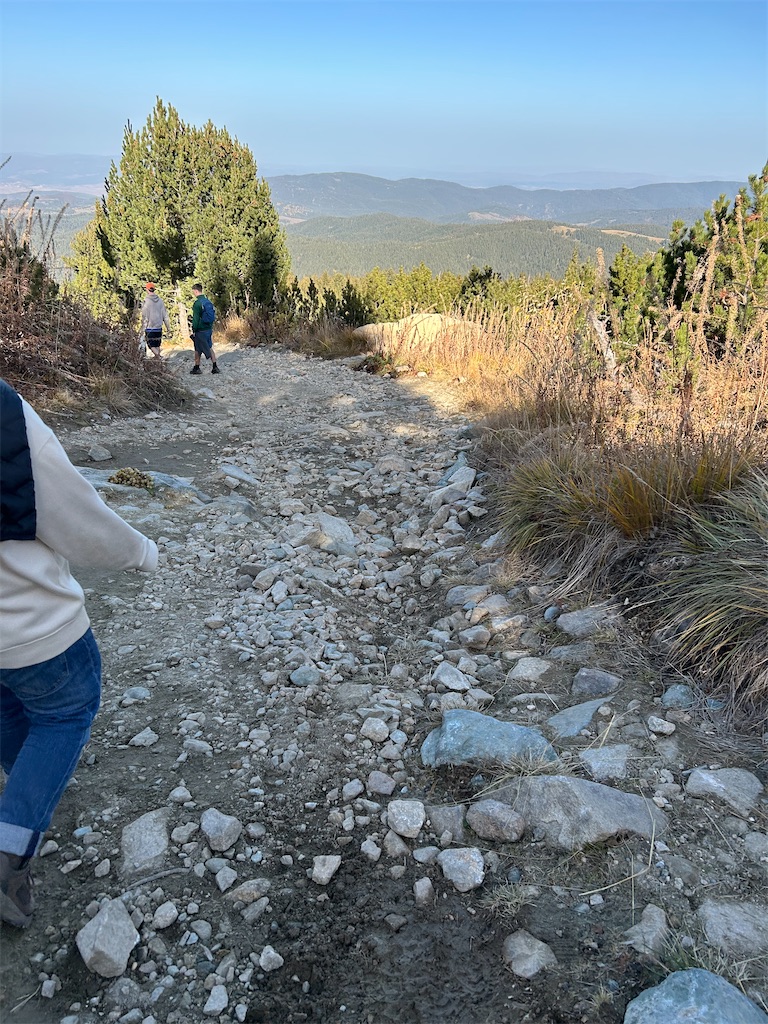 f:id:Applebee:20241101161236j:image