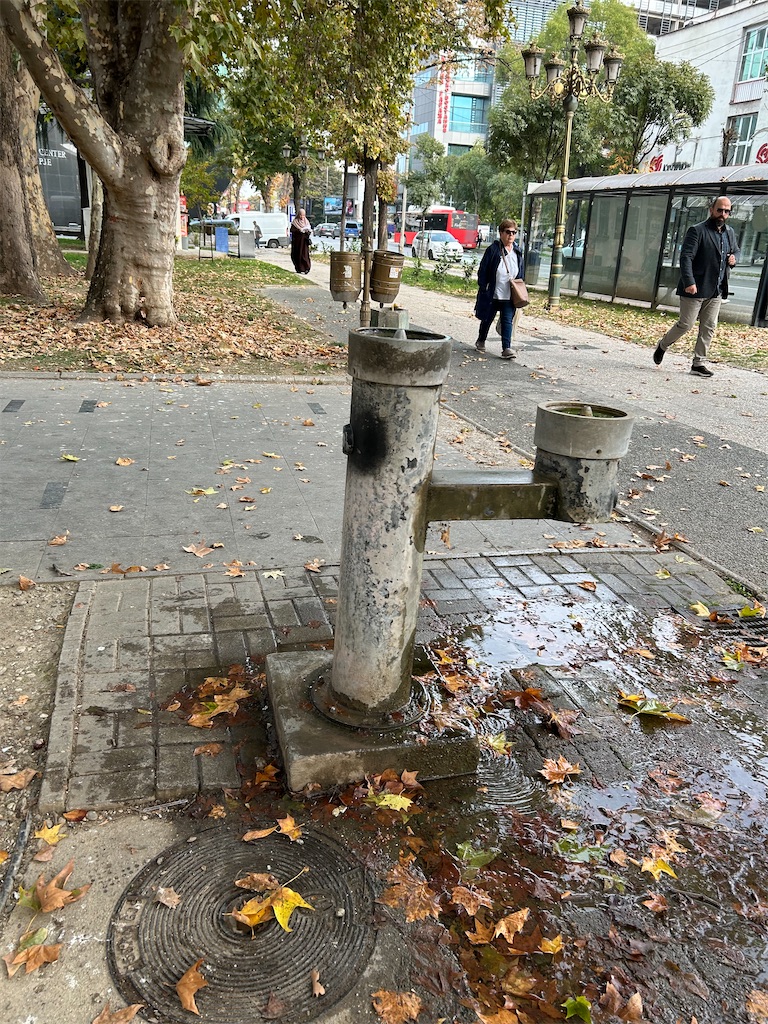 f:id:Applebee:20241102201529j:image