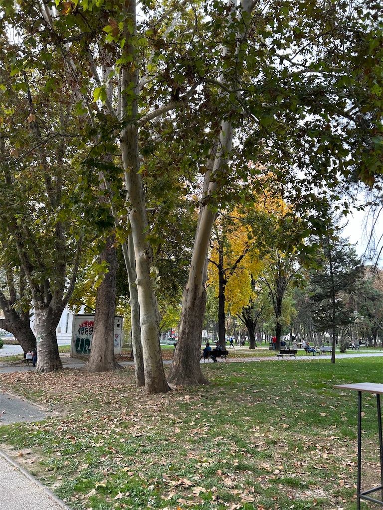 f:id:Applebee:20241102201602j:image