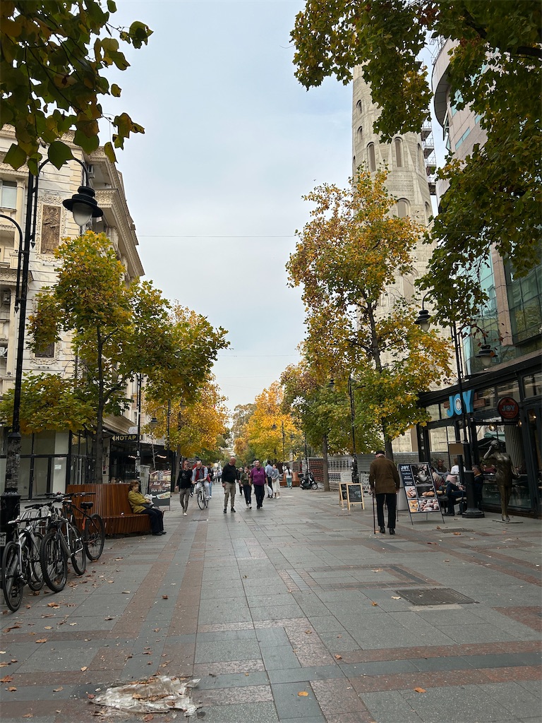 f:id:Applebee:20241102202933j:image