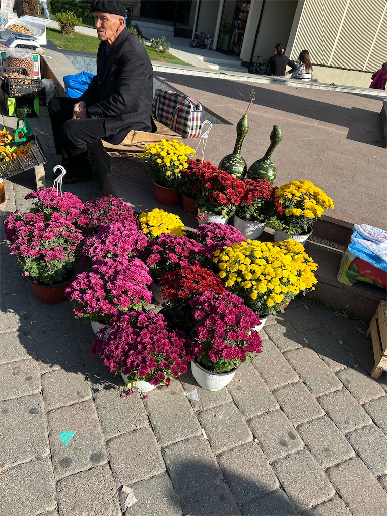 f:id:Applebee:20241104193417j:image