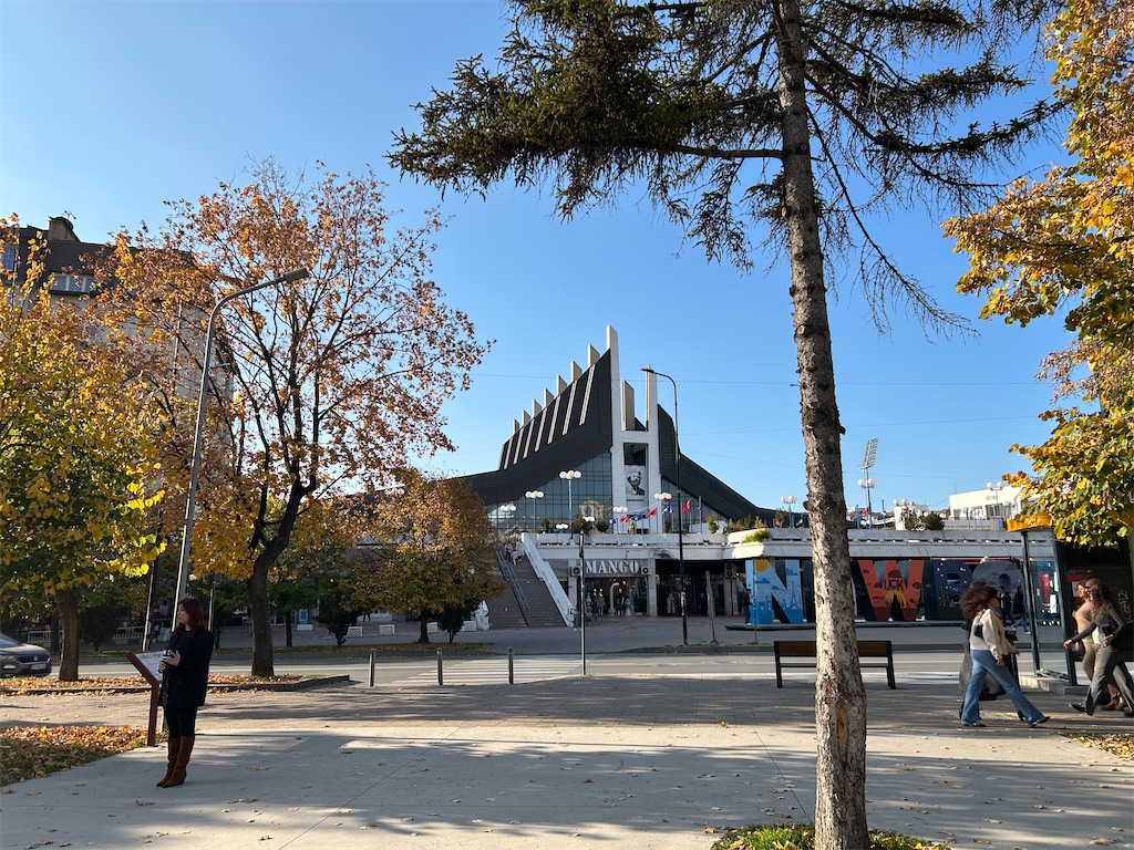 f:id:Applebee:20241105052002j:image