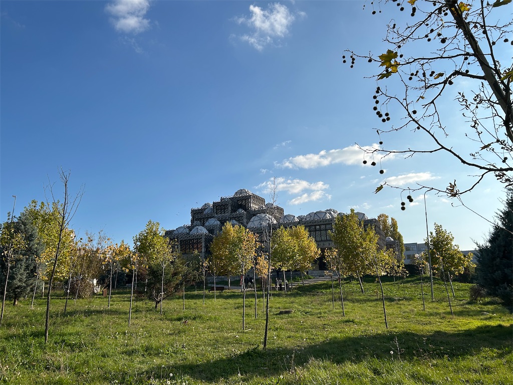 f:id:Applebee:20241105052011j:image