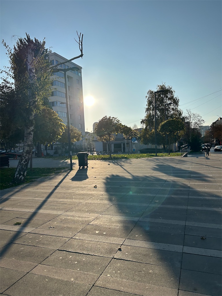 f:id:Applebee:20241105052906j:image