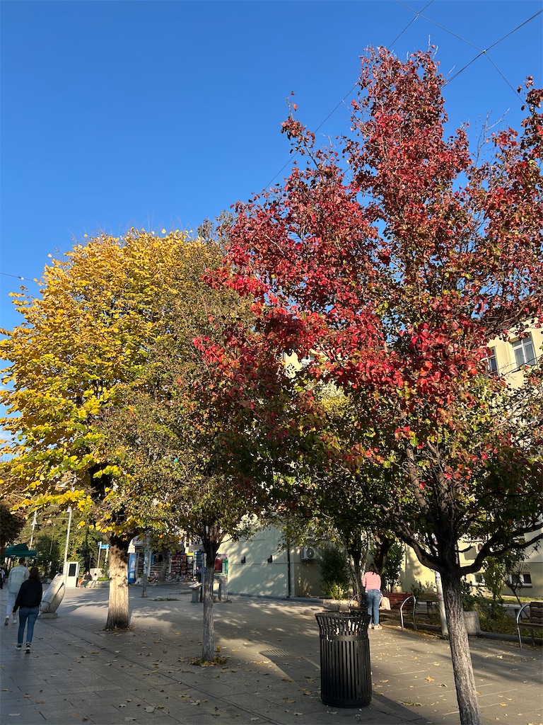 f:id:Applebee:20241105052911j:image