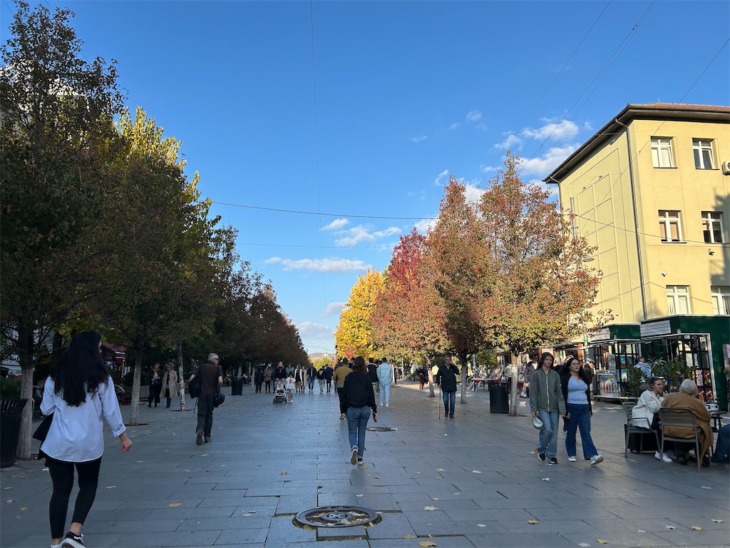 f:id:Applebee:20241105052915j:image