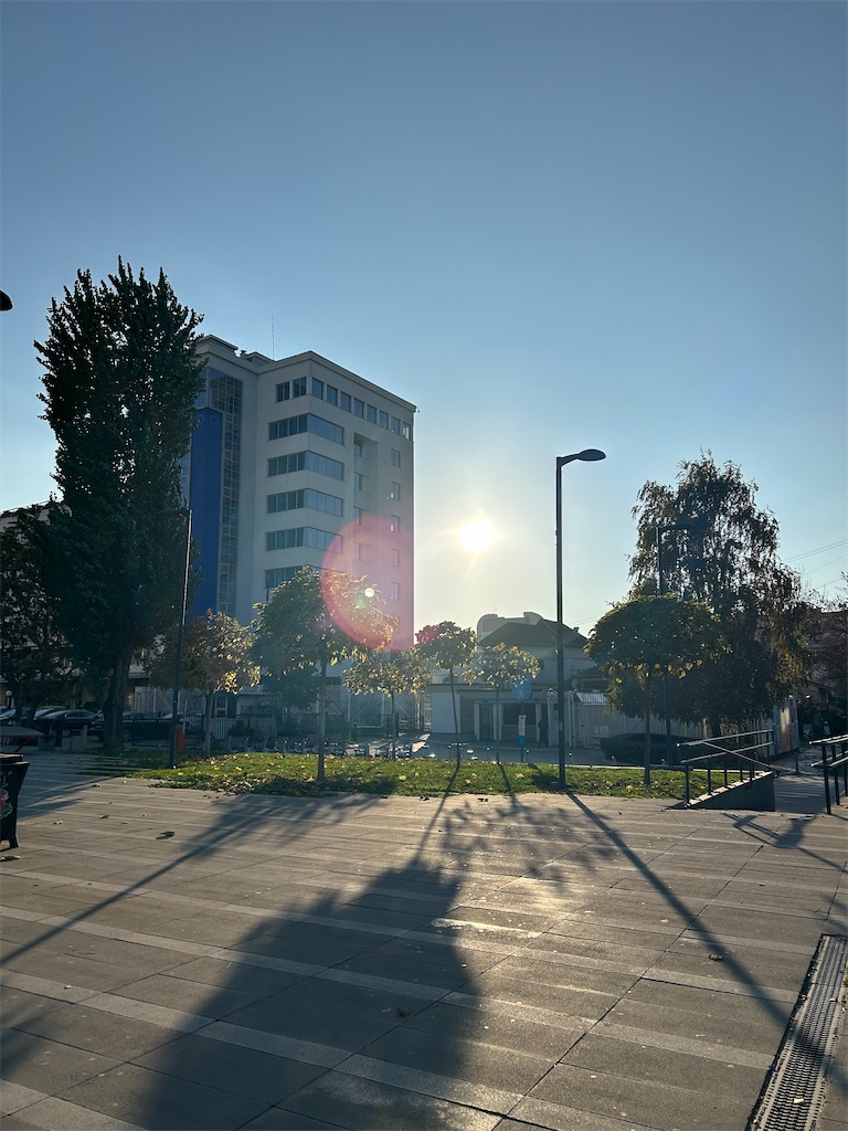 f:id:Applebee:20241105052939j:image