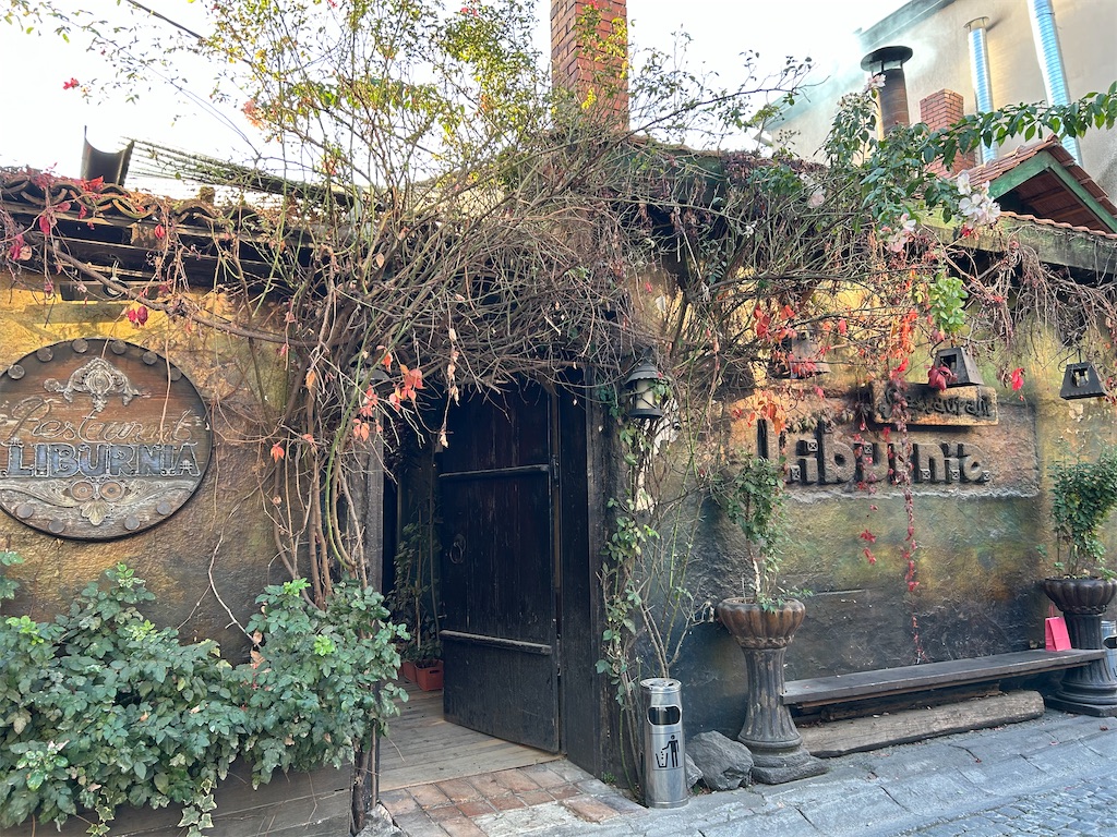 f:id:Applebee:20241105053210j:image