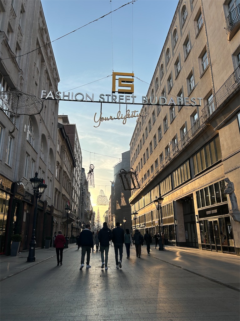 f:id:Applebee:20241112155704j:image