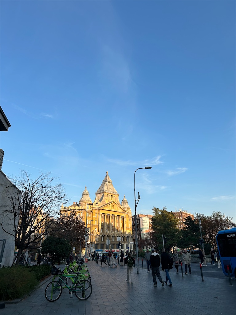 f:id:Applebee:20241112155755j:image