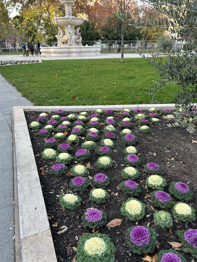 f:id:Applebee:20241112155801j:image