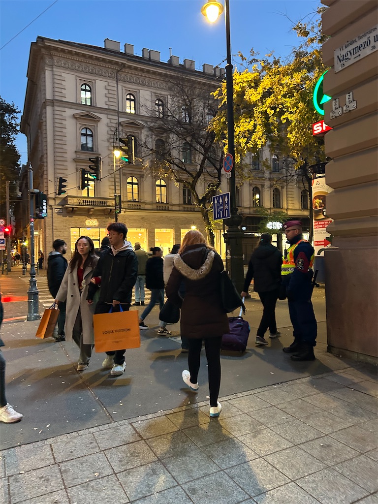 f:id:Applebee:20241115072031j:image