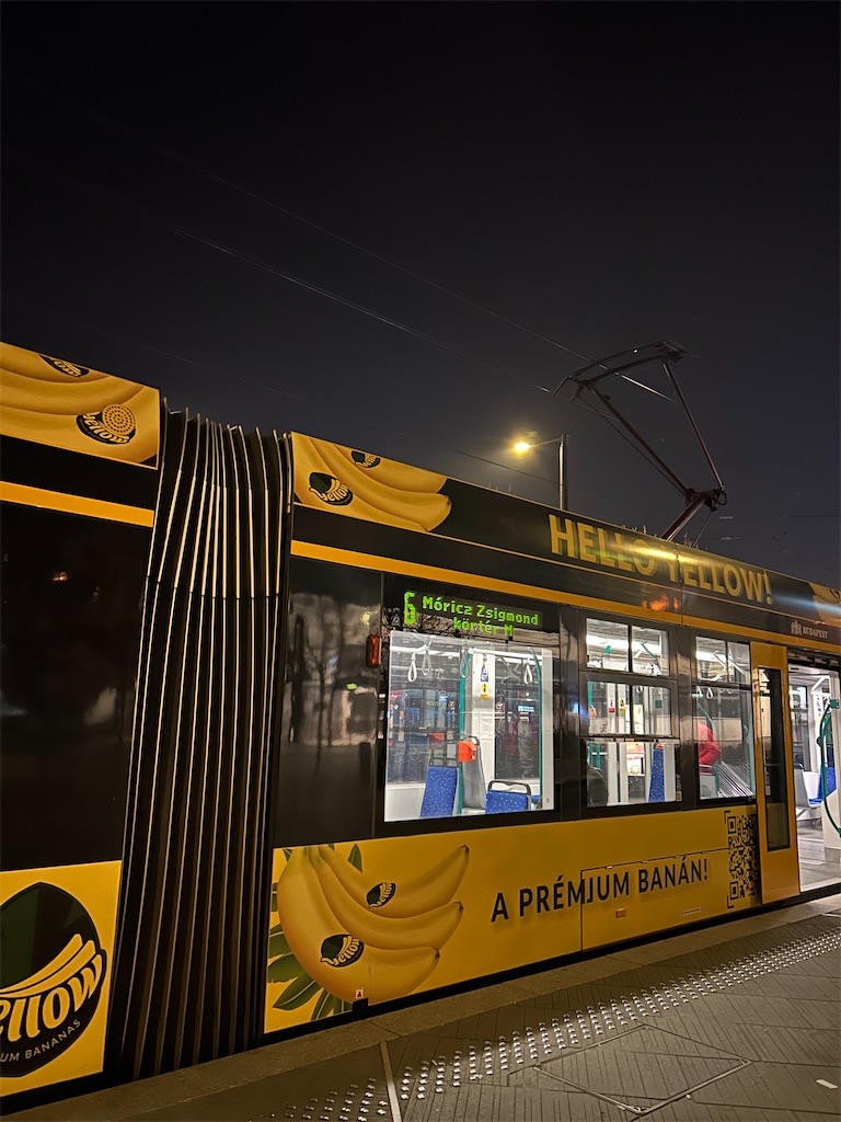 f:id:Applebee:20241115072942j:image