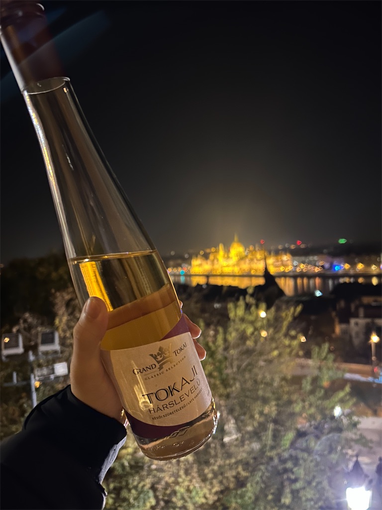 f:id:Applebee:20241115072954j:image