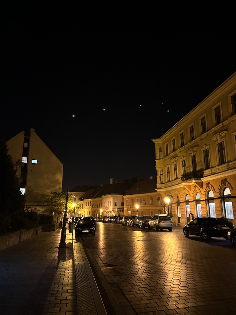 f:id:Applebee:20241115073006j:image