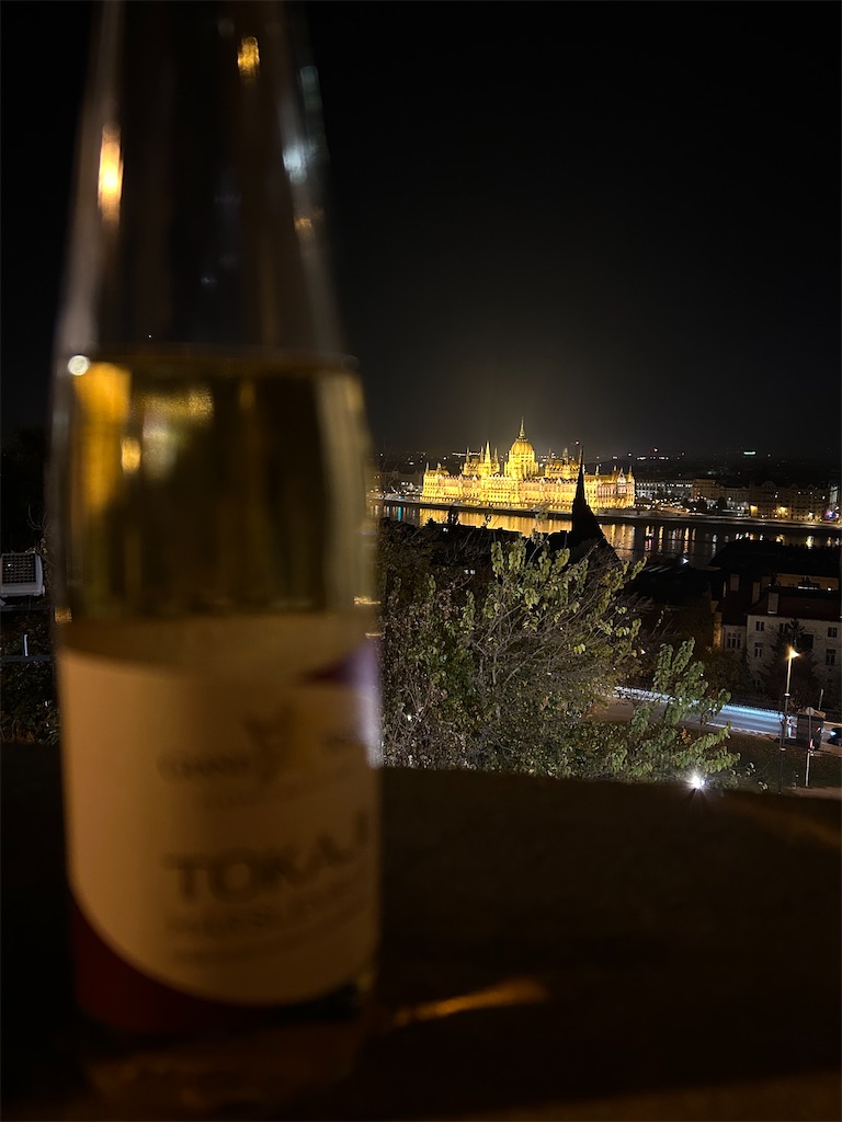 f:id:Applebee:20241115073039j:image