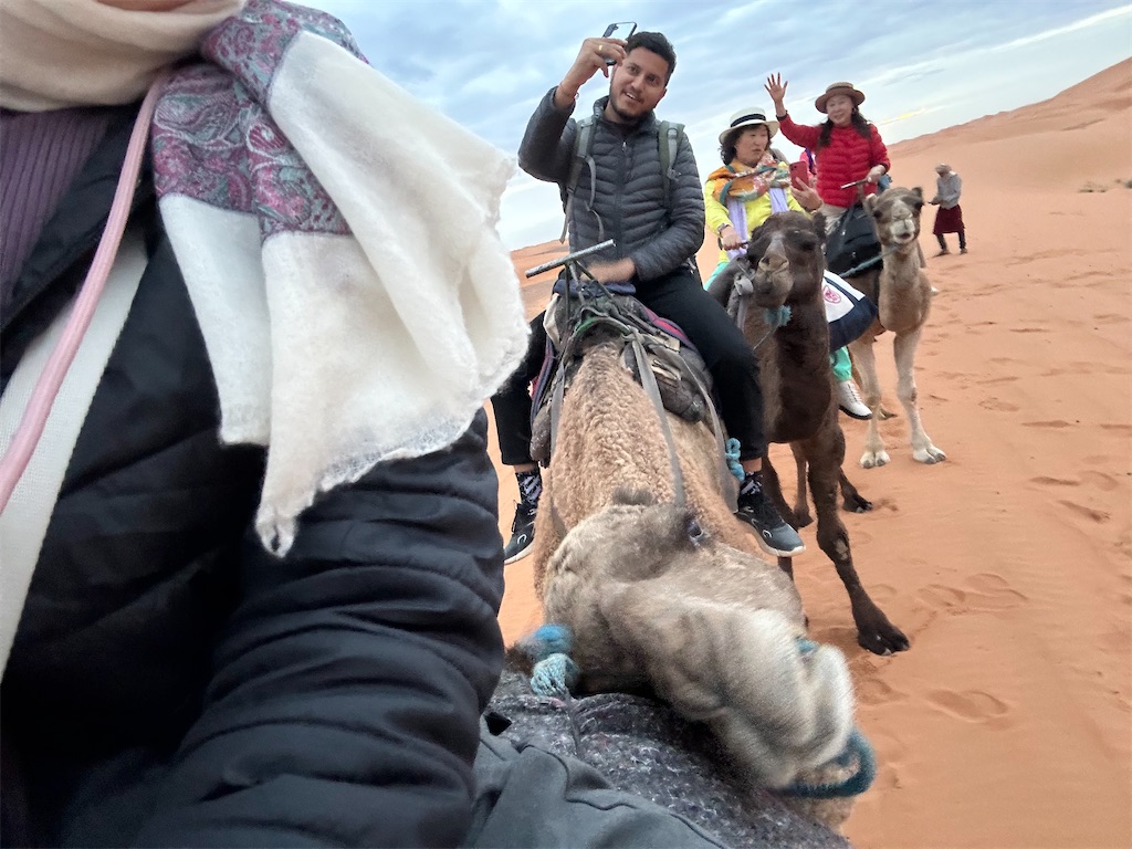 2024モロッコ④】ラクダに乗って、マラケシュ市内に戻る砂漠ツアー3日
