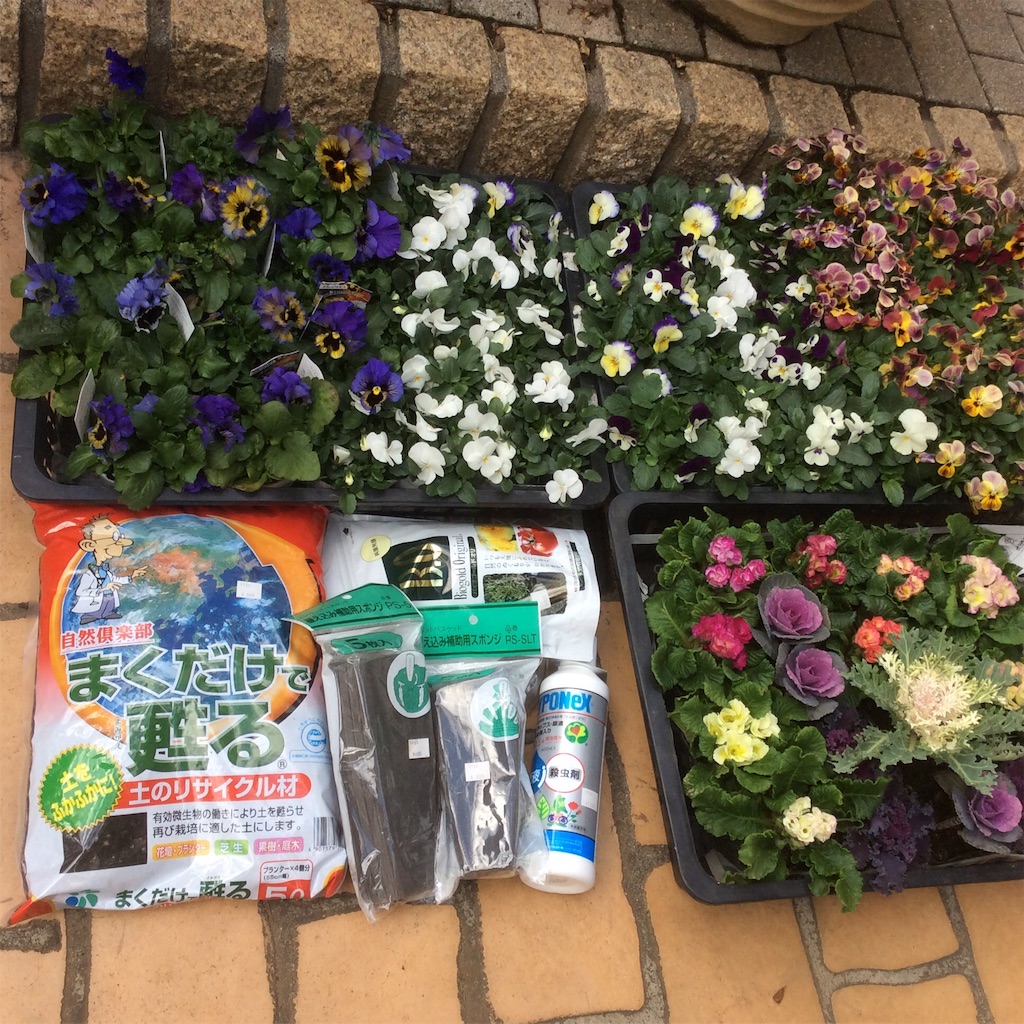 f:id:Appleminto:20161204180919j:image f:id:Appleminto:20161204180919j:image